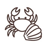 Accords mets - vin: Fruits de mer, Crustacés