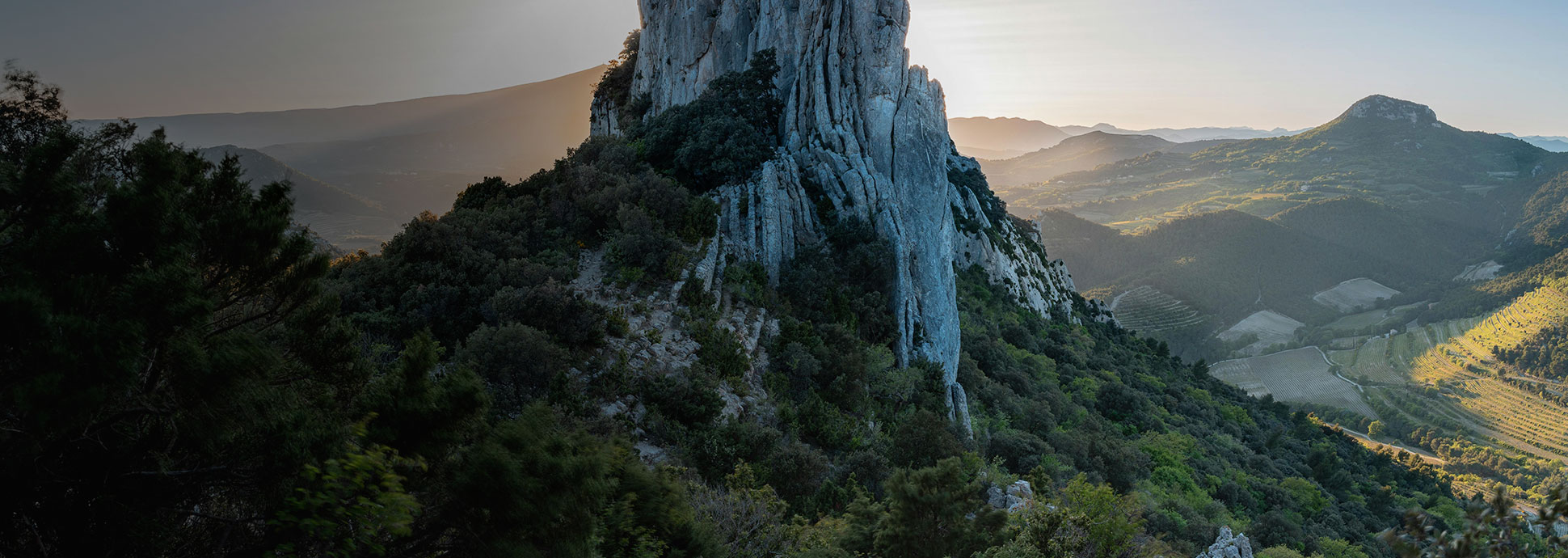 D&eacute;couvrez les vins du Luberon et du Ventoux